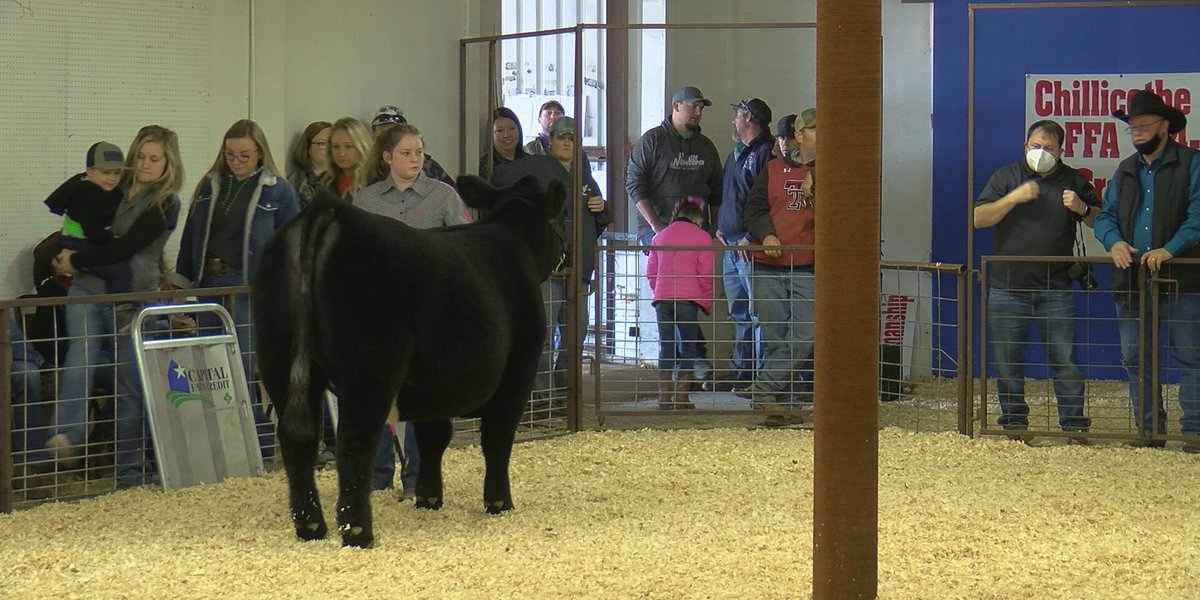  Students raising animals show them at Chillicothe Project Show 