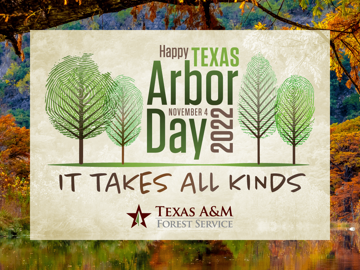  Texas A&M Forest Service Celebrates Arbor Day With School Presentations, Tree Plantings 