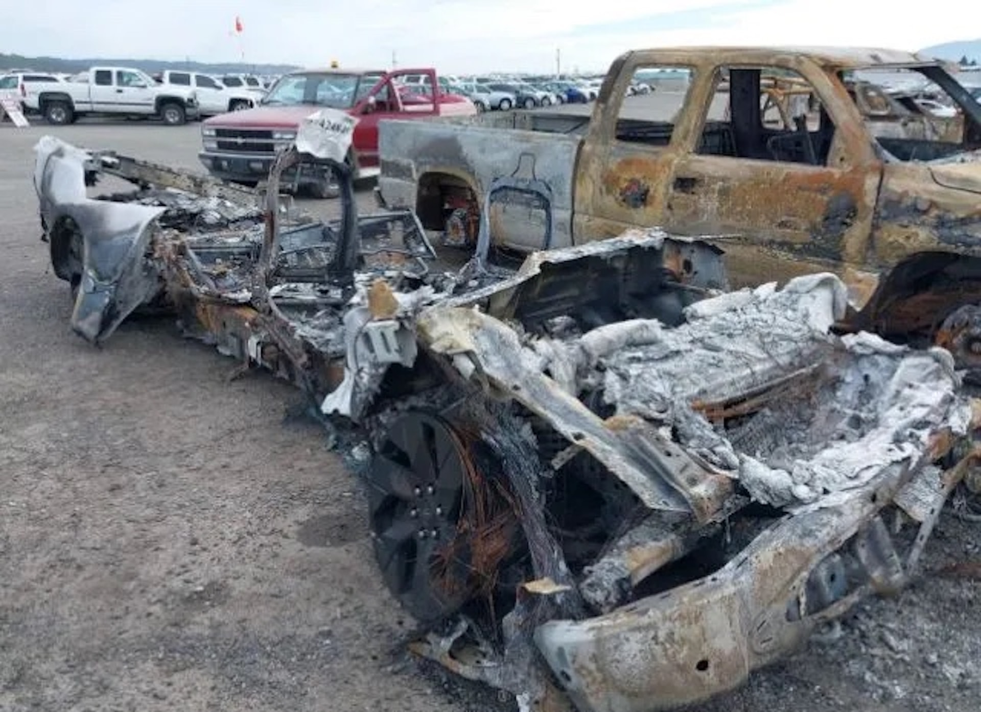  Ford F-150 EV Truck Reduced to Ashes, Must Have Been Struck by Lightning 