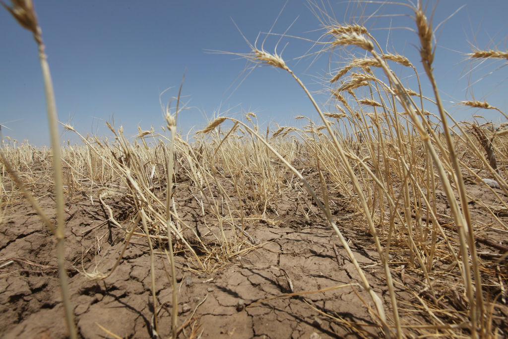  Texas A&M Study: Texas Will Face Driest Conditions Of The Last 1,000 Years 