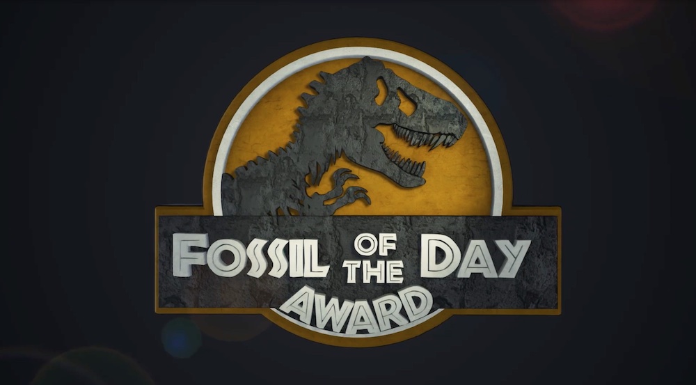  COP27: Fossil of the Day Award 