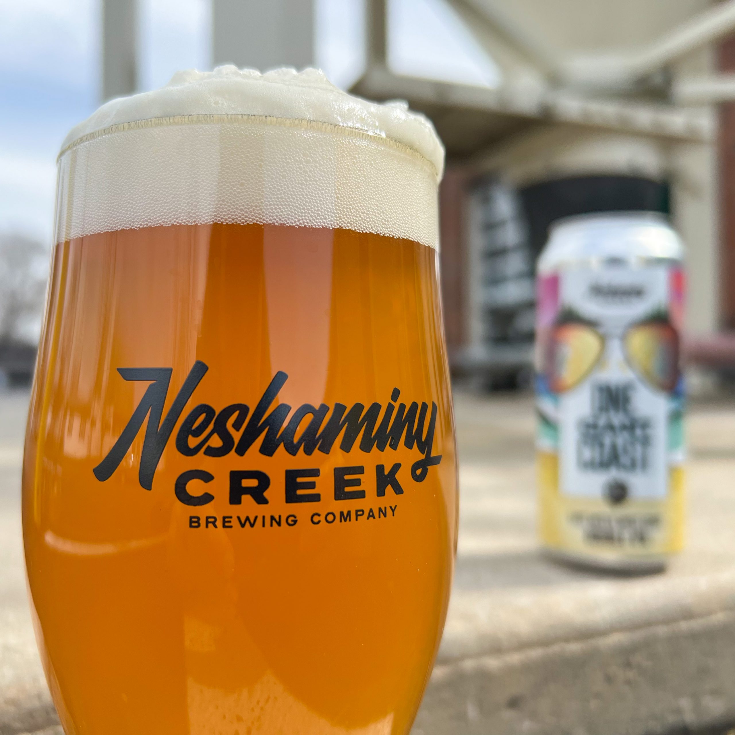  Neshaminy Creek Brews GIANT IPA 