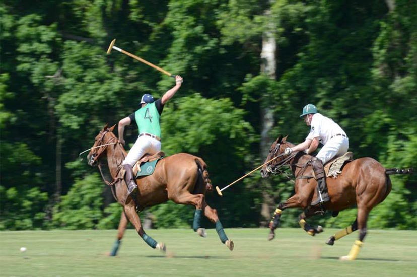  
																Take the Kids to a Polo Match at Tinicum Park 
															 