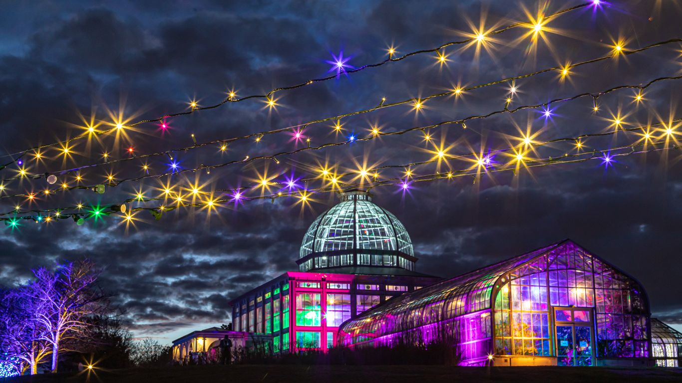   
																Lewis Ginter is again in the running for best holiday lights 
															 