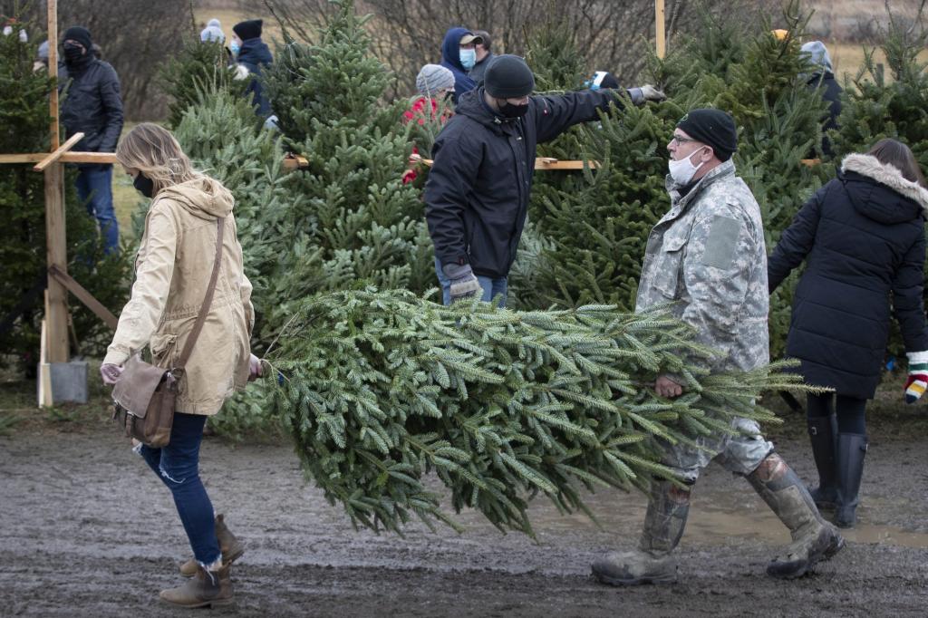   
																Extreme weather takes a toll on Christmas tree supply, shop now 
															 