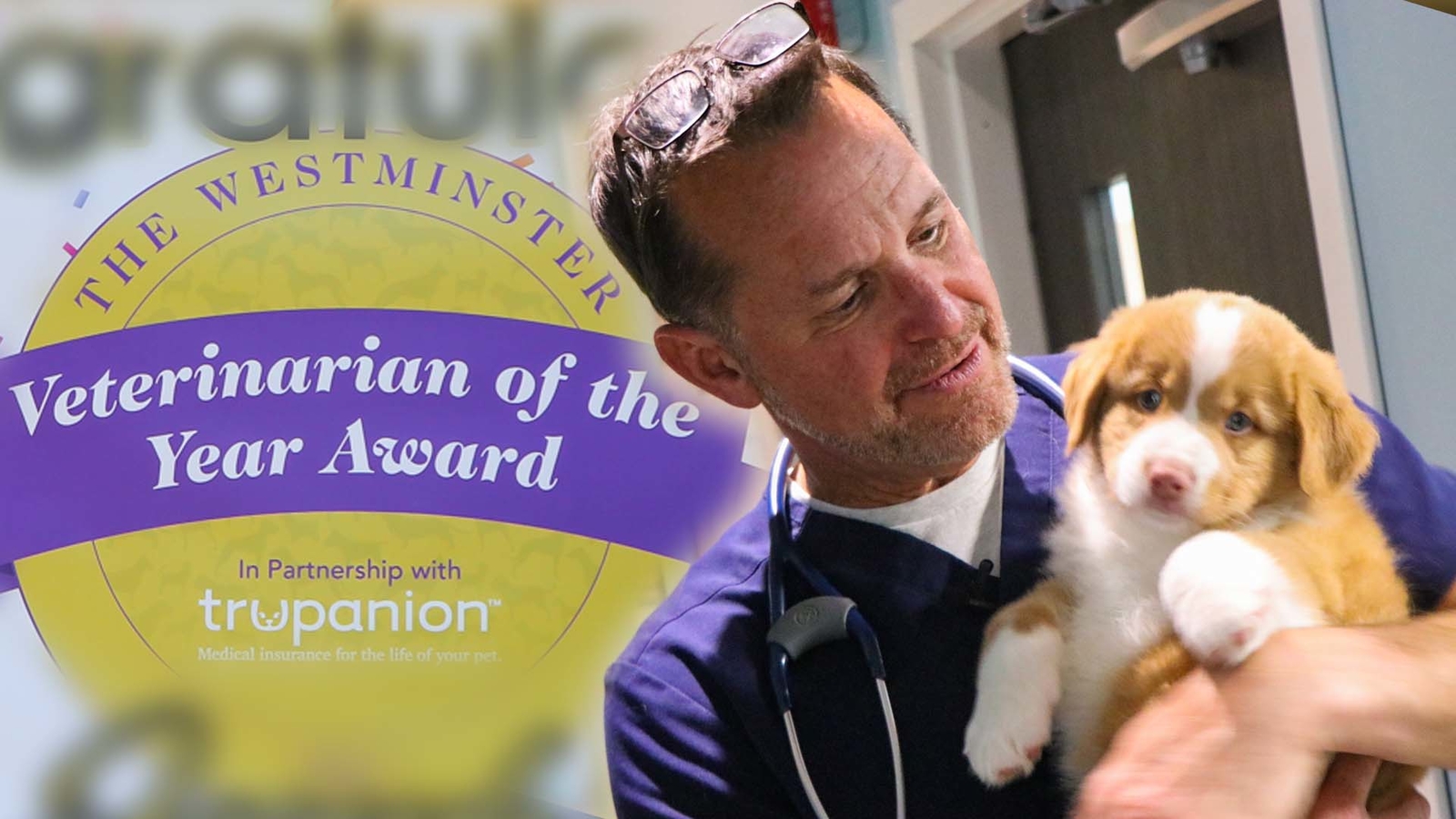  Pa. doctor earns nationwide 'Veterinarian of the Year Award' 