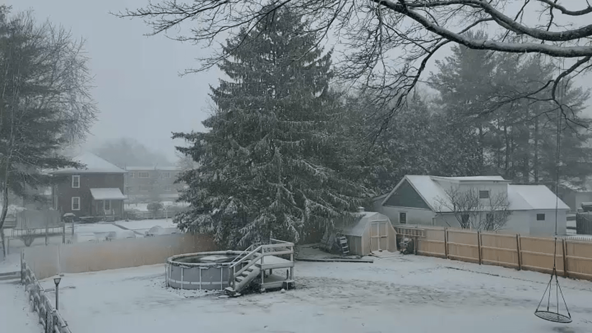   
																Pictures: Snow Blankets Philadelphia Region 
															 