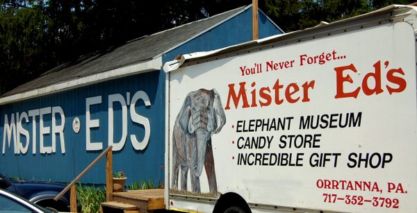  Mr. Ed's Elephant Museum 
