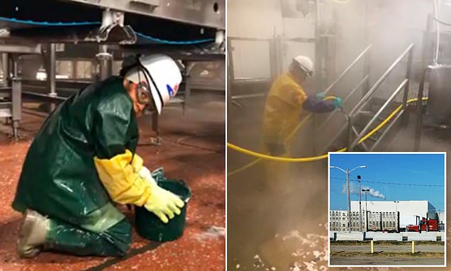  Teens suffer 'caustic chemical burns' in overnight shifts cleaning dangerous slaughterhouse gear 