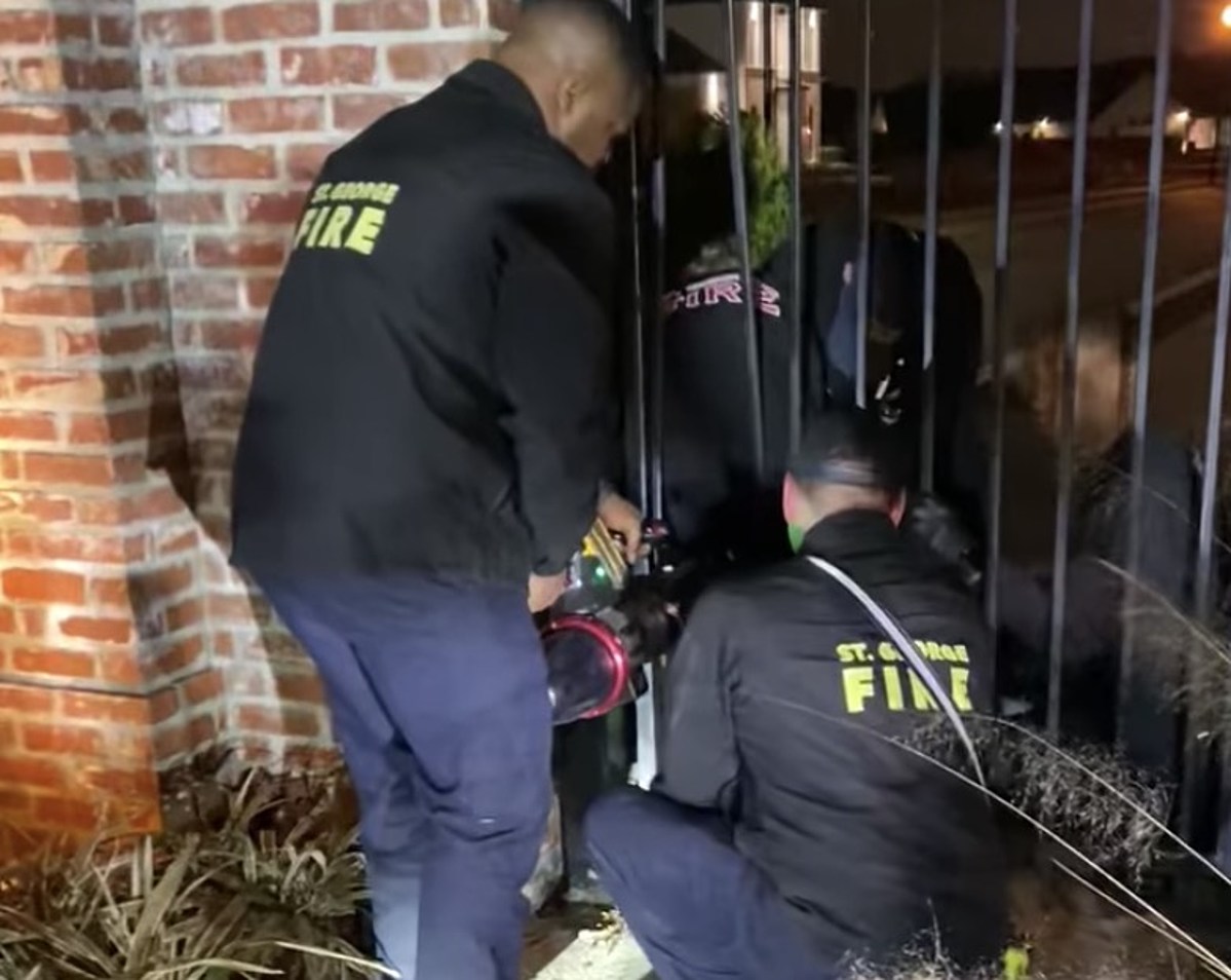  Louisiana Fire Dept. Uses 'Jaws of Life' to Rescue Deer in Fence 