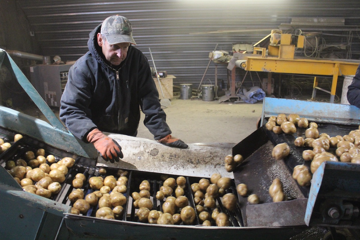  Pennsylvania potato growers celebrate 100 years of cooperation 