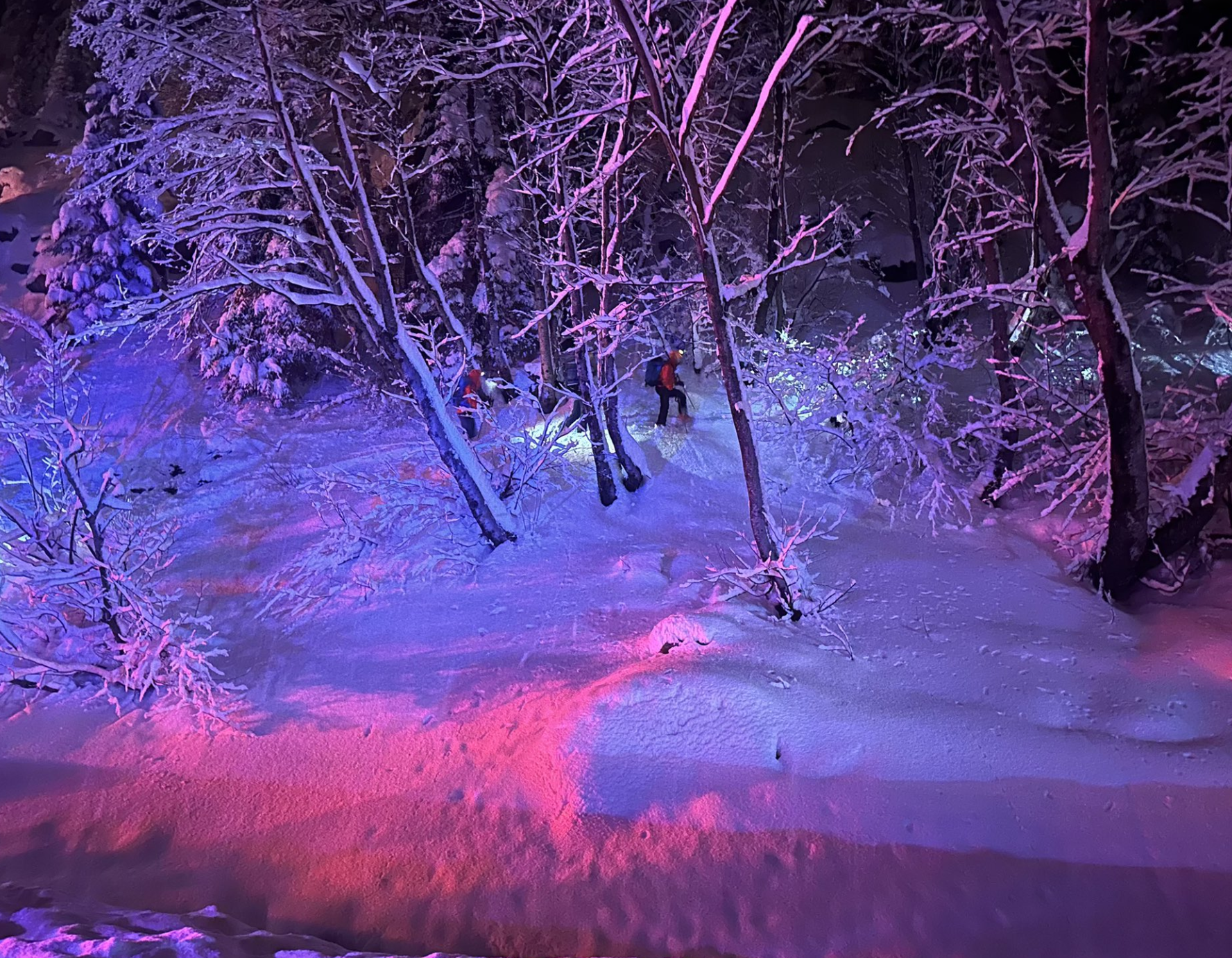  Lost Skiers Rescued From 100-Foot Cliff Near I-90 in Snoqualmie, Washington 