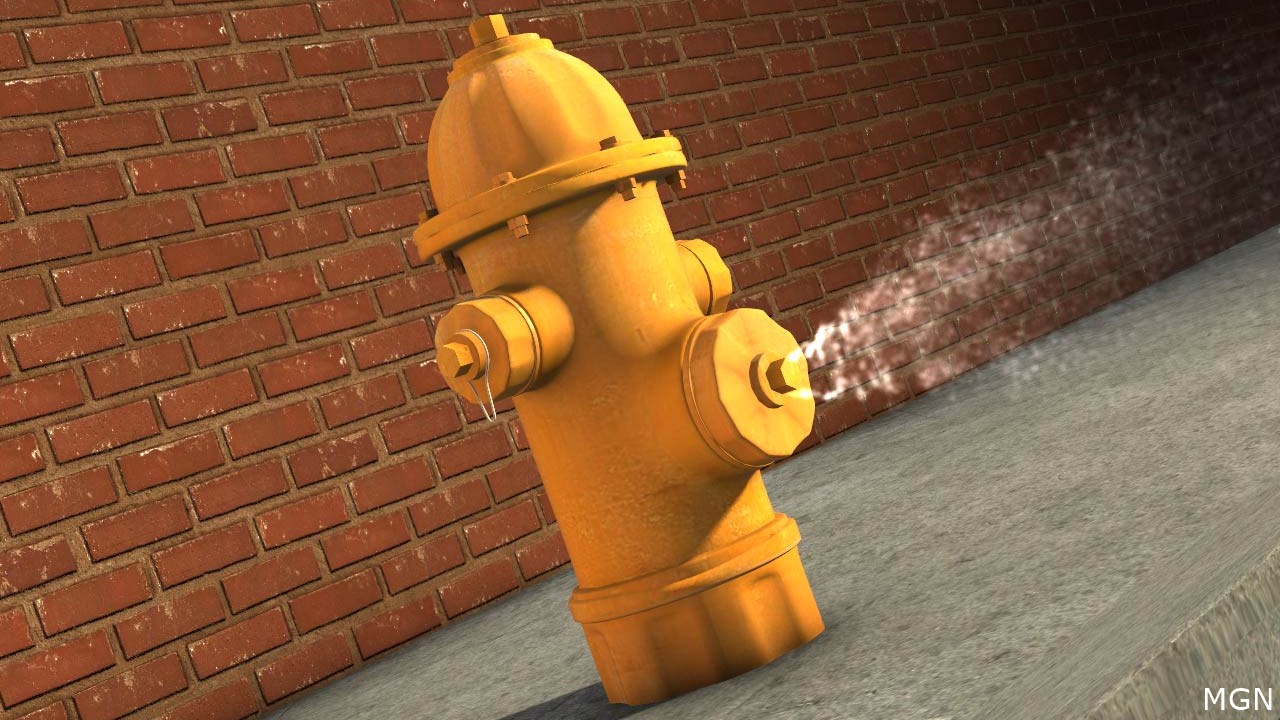  Warner Robins Fire Department set for annual hydrant testing 