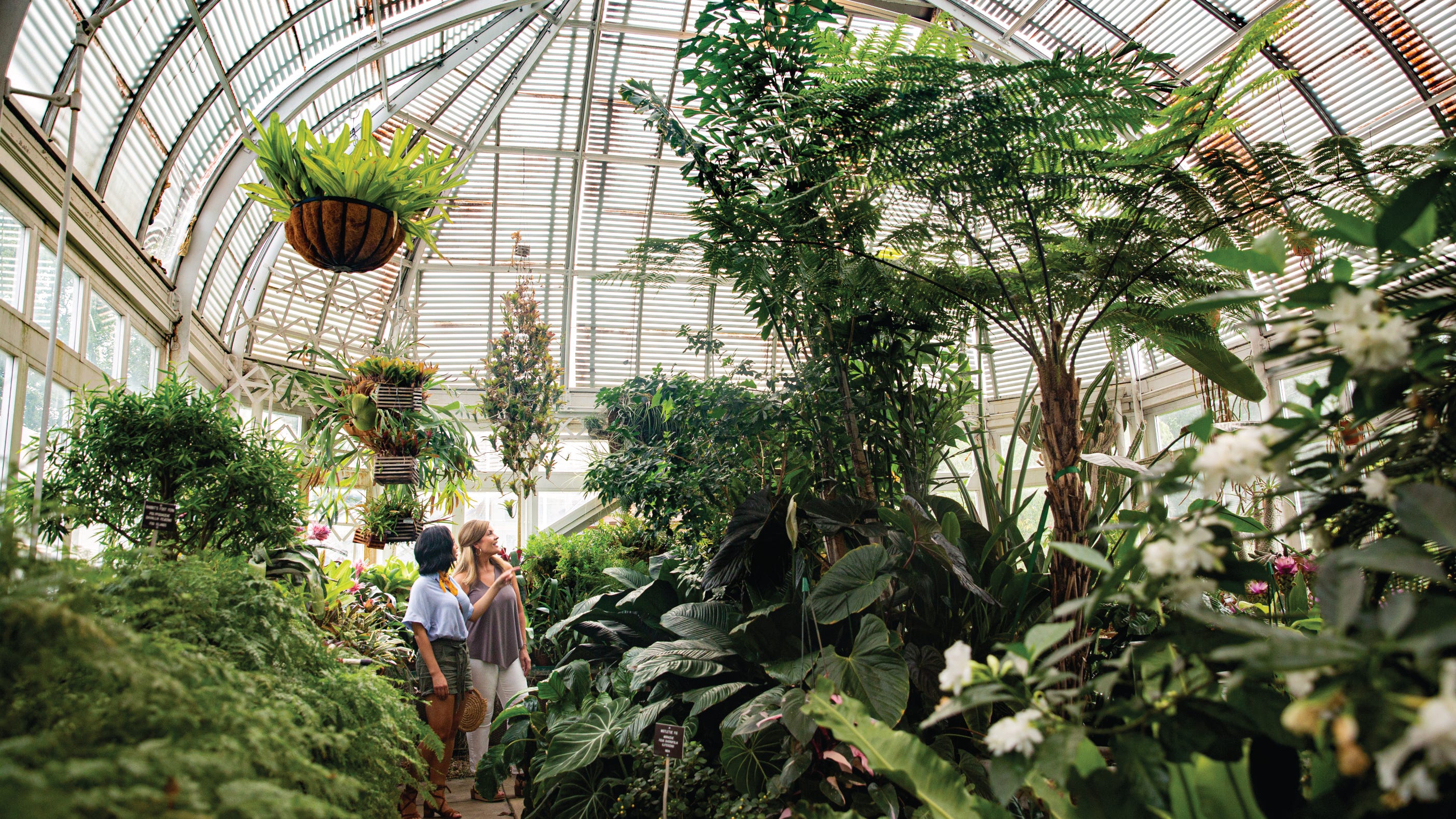  What are the Best Botanical Gardens to visit in North Carolina? Here's the top list. 