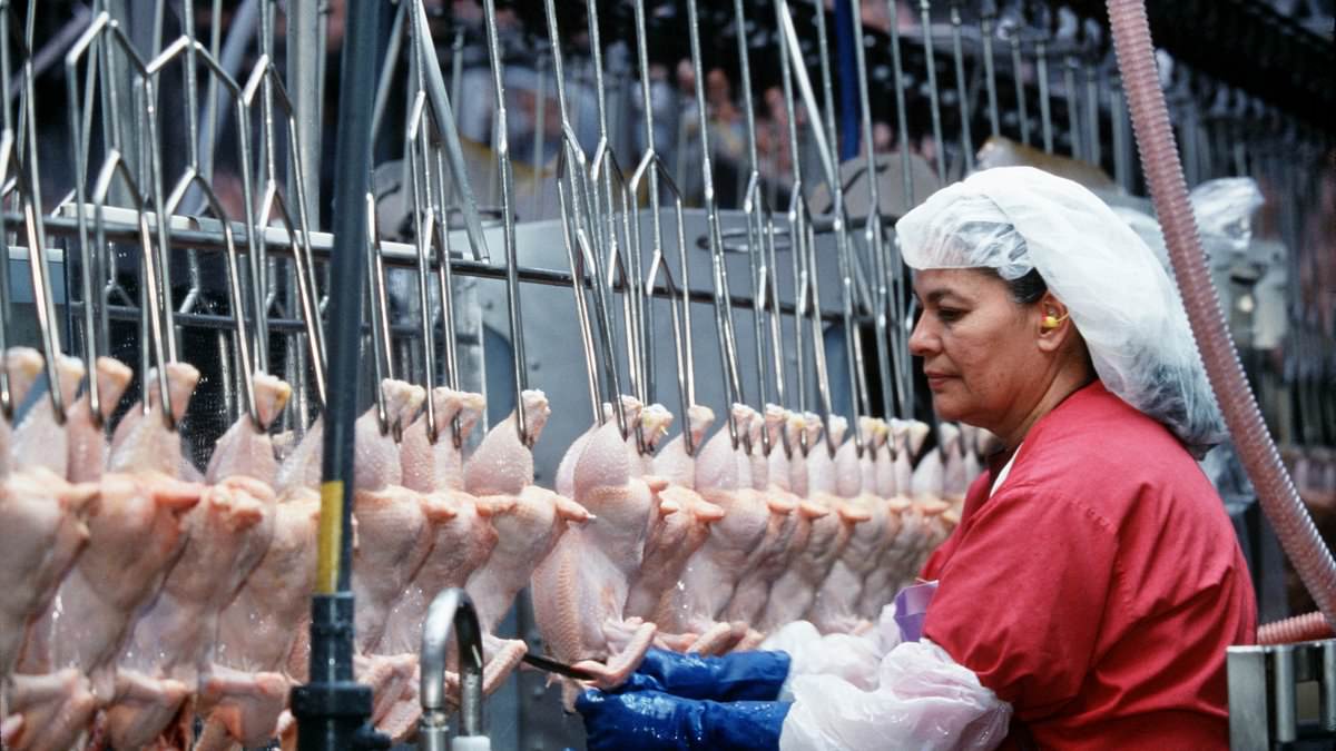  Florida lawmaker SLAMS Tyson Foods for sacking American meat packers and replacing them with 'illegals' too scared to ask questions in 'modern-day slavery' scandal 