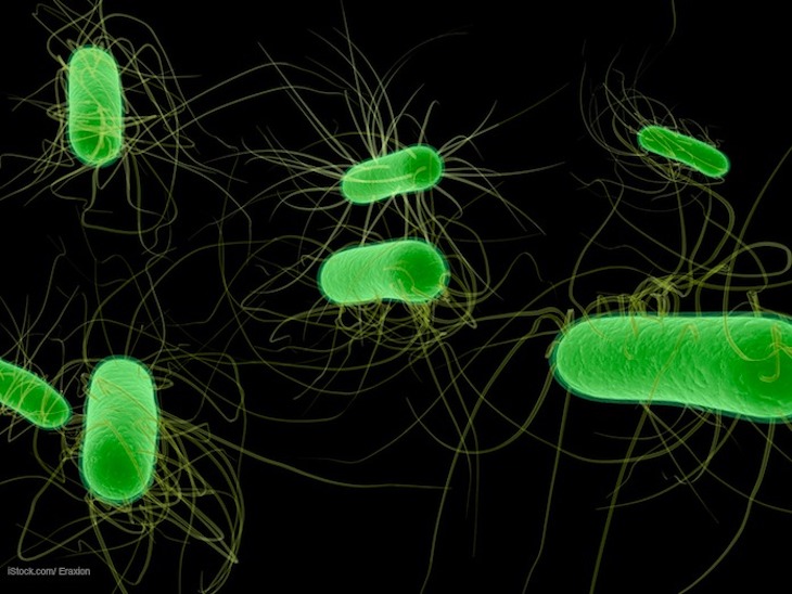  West Seattle PCC Community Markets E. coli Outbreak Alleged 