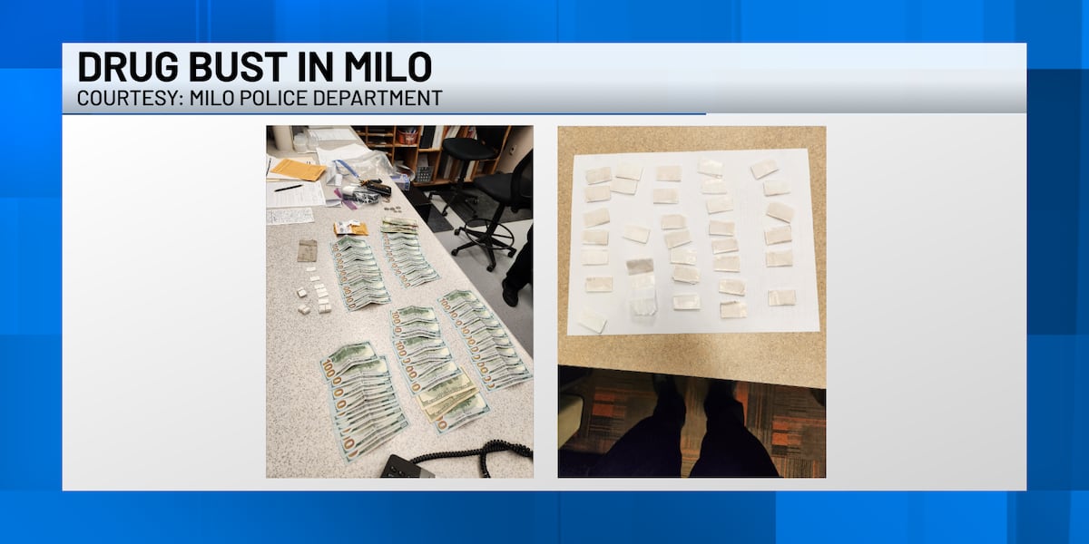  Passed-out driver leads to drug bust in Milo 