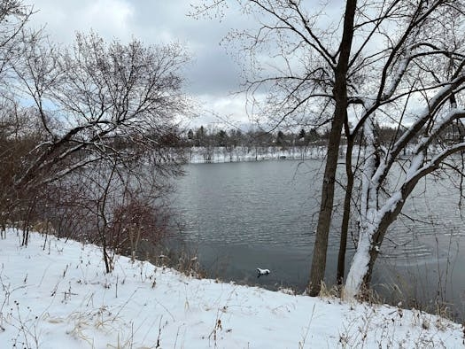  Sunday snow likely will turn to rain overnight, melting Minnesota's big snowstorm 
