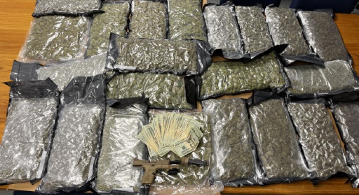  22 Pounds of Marijuana Seized in Berks County Drug Bust 