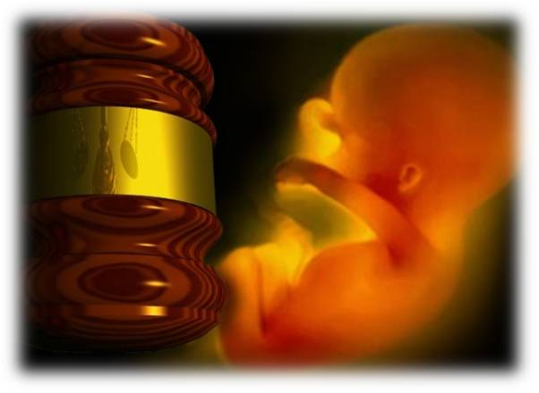  Florida Supreme Court Allows Measure for Abortions Up to Birth to Proceed 