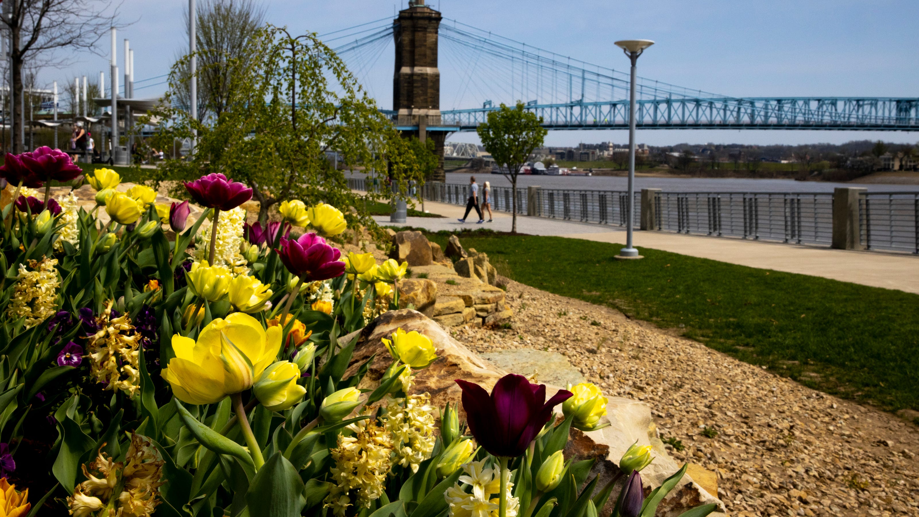  Smale Riverfront Park named best riverwalk in America by USA TODAY, beats out San Antonio 