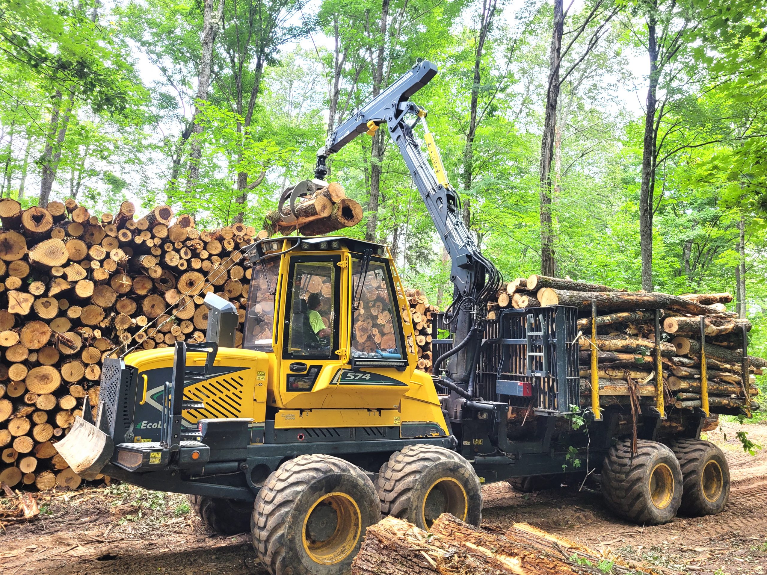   
																Wisconsin Logger Has Had Good Mentor to Help Grow His Business 
															 