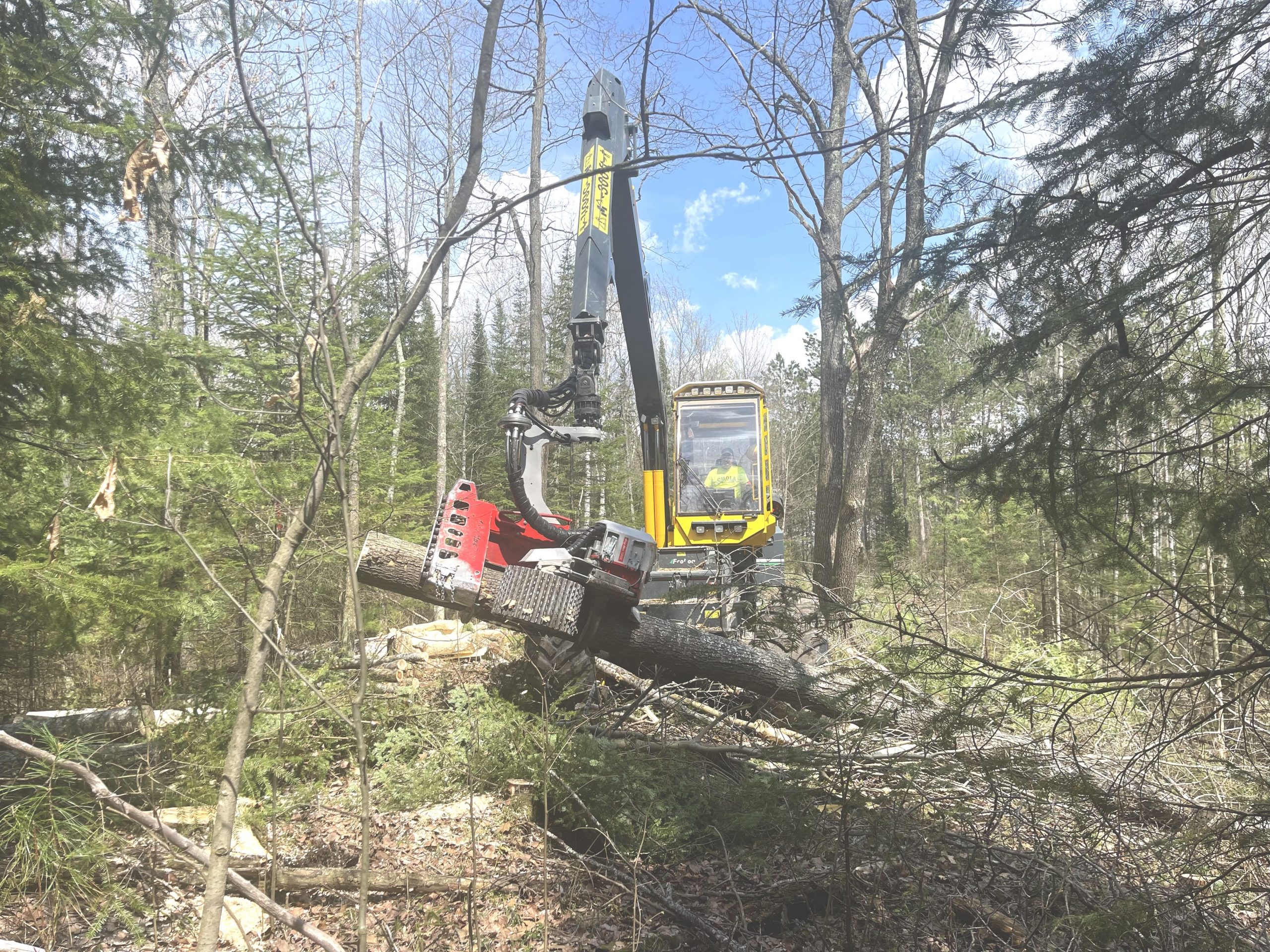  Wisconsin Trucking Contractor Expands By Adding Timber Harvesting Operations 