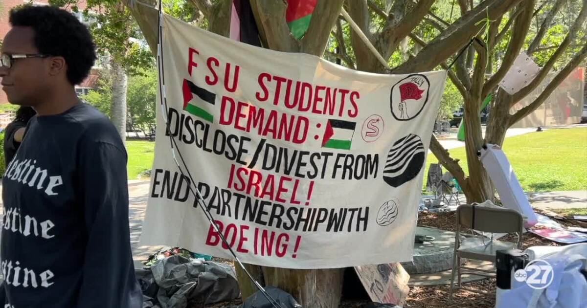  Pro-Palestine demonstration on Florida State campus demands university divestment from Israel 