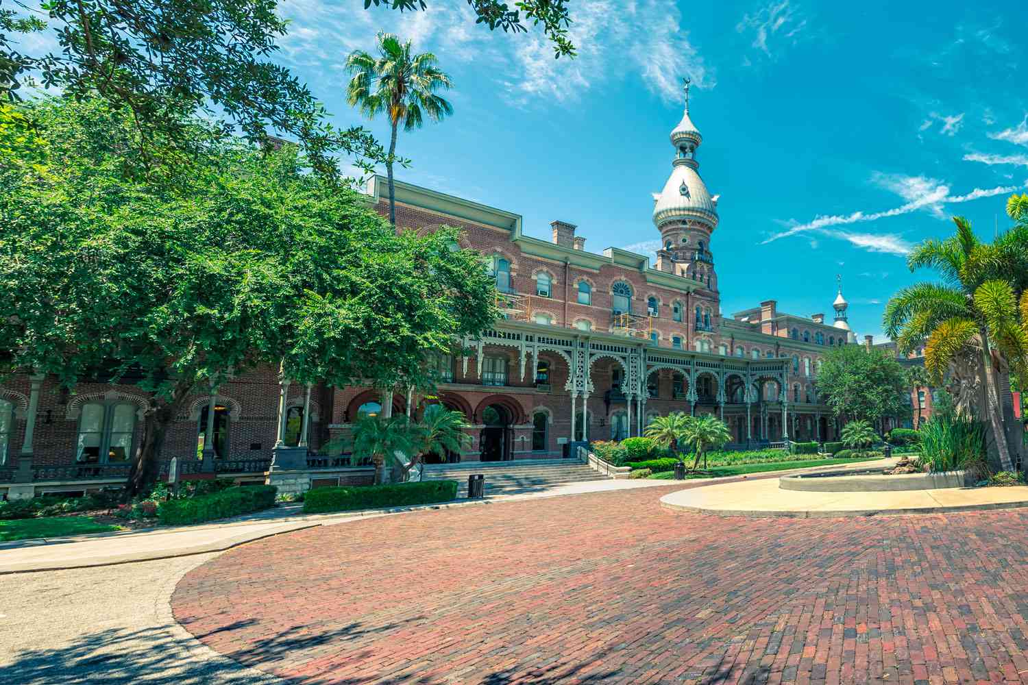  Abandoned Baby Found Dead on University of Tampa Campus 
