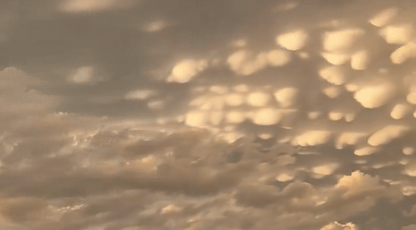   
																'Wow': Mammatus Clouds Adorn Sky as Severe Weather Hits Kansas 
															 