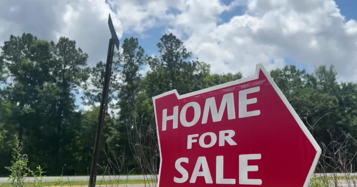  SEE WHY: Neighbors from around the country are calling Gadsden County their new home. 