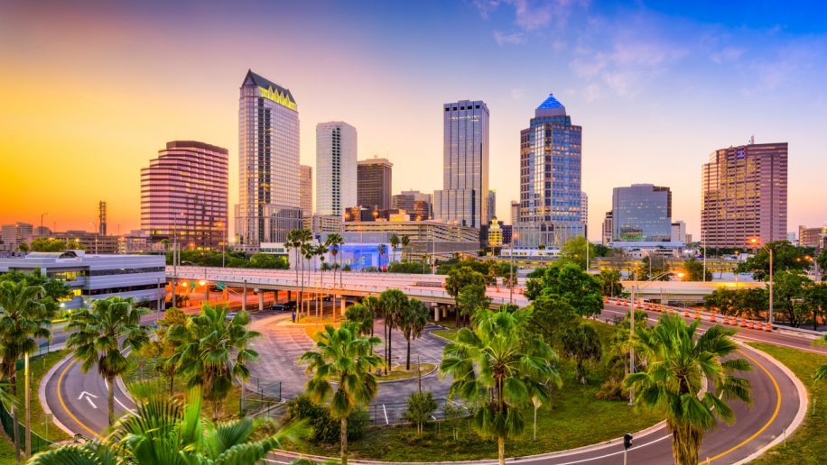  Delta to restart Tampa-Amsterdam route – Business Traveller 