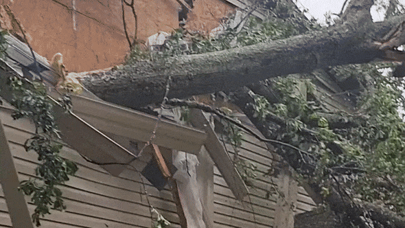  Tree Crashes Onto Home as 'Dangerous' Storm Rips Through Tallahassee 