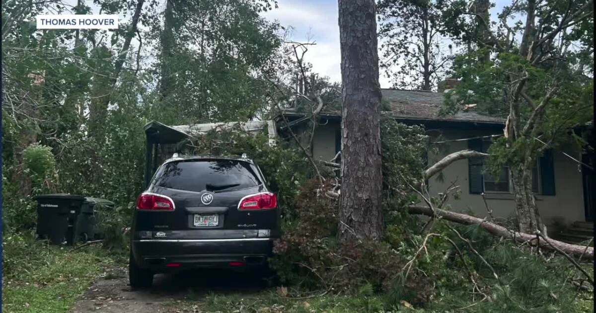  GET HELP: Resources available for Big Bend neighbors affected by storm damage 