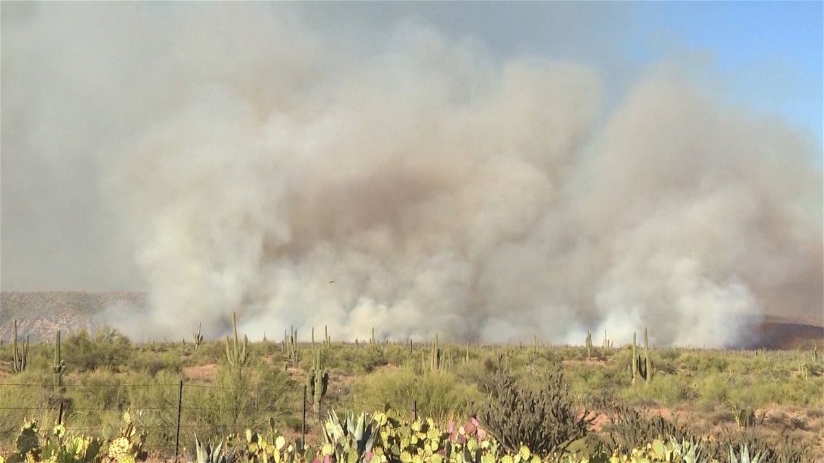  Wildcat fire in Arizona grows to about 5,000 acres 