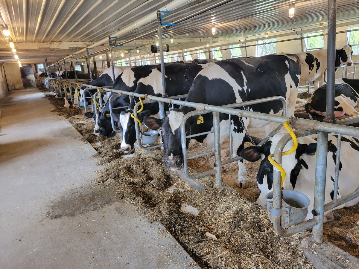  What dairies need to know about changing markets 