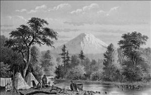  Washington's Timberlands (Part 1) 