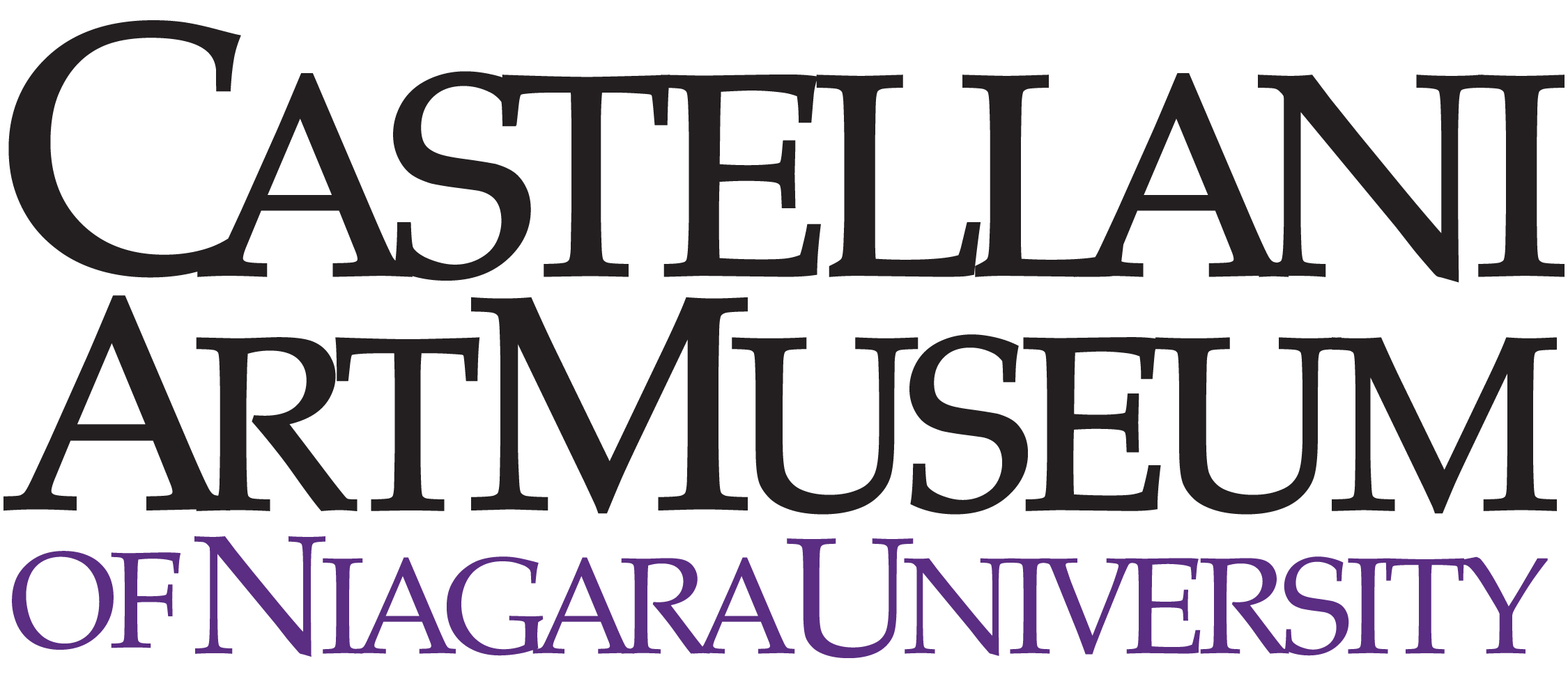  Castellani Art Museum Unveils 
