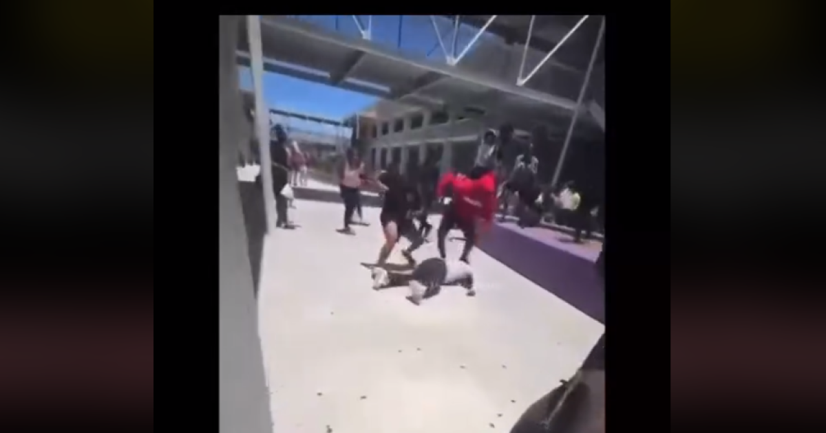  Video captures Lennard High School student's head being slammed on concrete sidewalk 