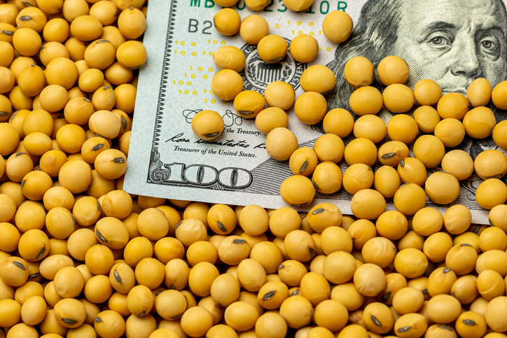  Perdue AgriBusiness to invest over $59m to modernize soybean processing facility in Virginia 