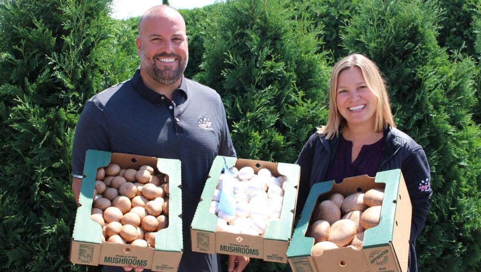  Wall Street Journal: Avondale Mushroom Farm Dominates Pennsylvania Farm Show 