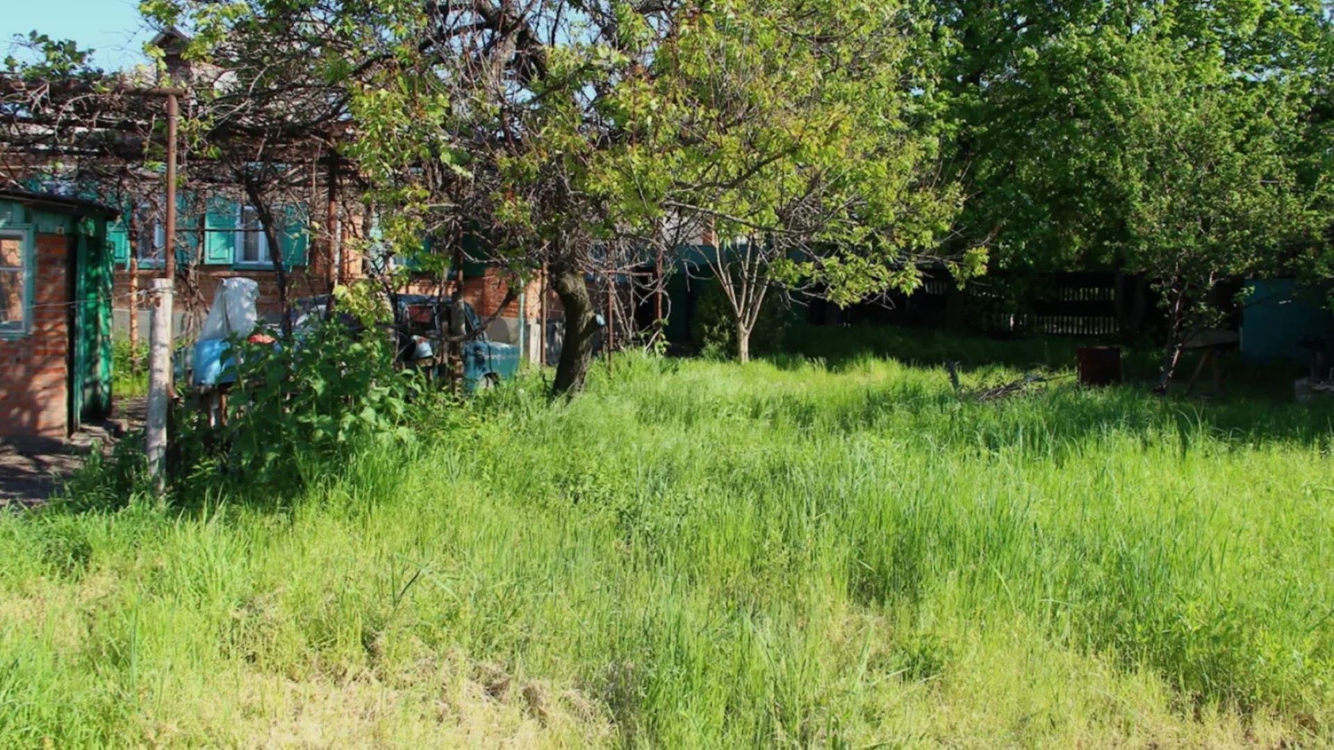  New homeowner frustrated after highly invasive plant sprouts up in backyard: 'My house is littered with it' 