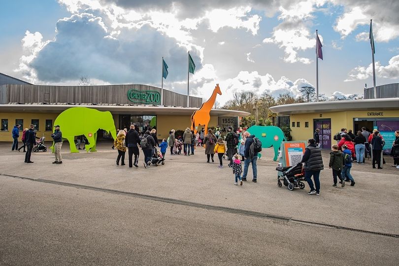  Chester Zoo confirms animal exhibit dating back 70 years will close permanently 