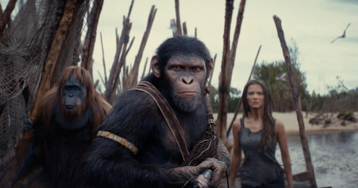  Movie review: 'Kingdom of the Planet of the Apes' an exciting new world for franchise | Movies | wenatcheeworld.com 