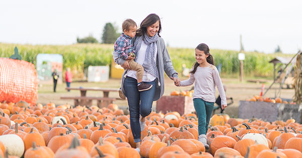  The 24 Best Fall Festivals to Experience Across the U.S. 