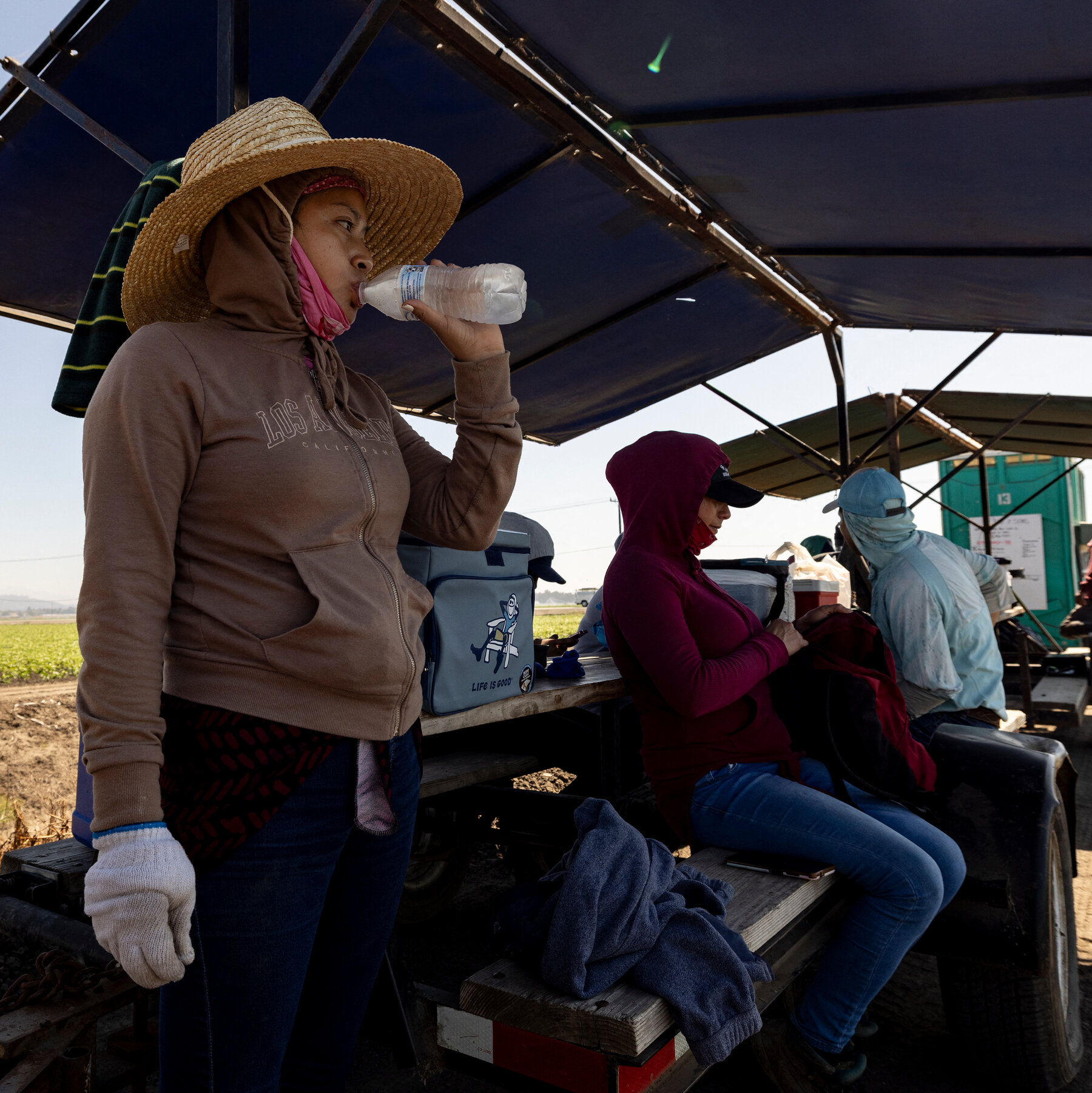  Much of Western U.S. Is Broiling Under Record-Breaking Heat 