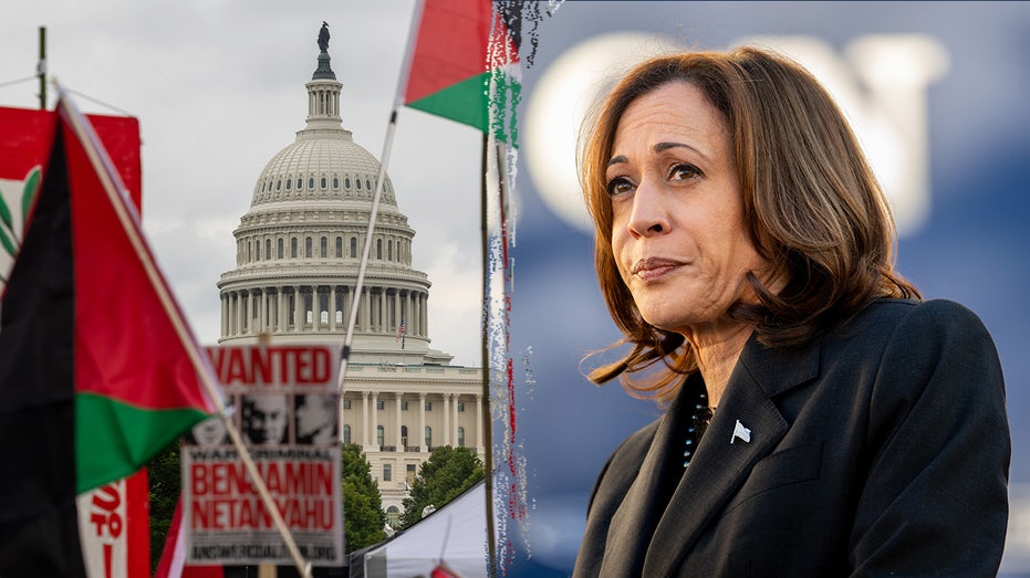  'No different from Biden': Anti-Israel protesters weigh in on possible Kamala Harris presidency 