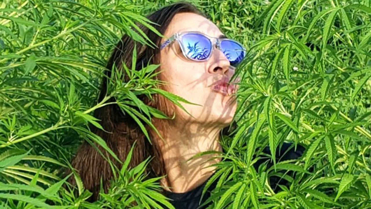  Women in weed: How female entrepreneurs are investing in a billion-dollar industry 