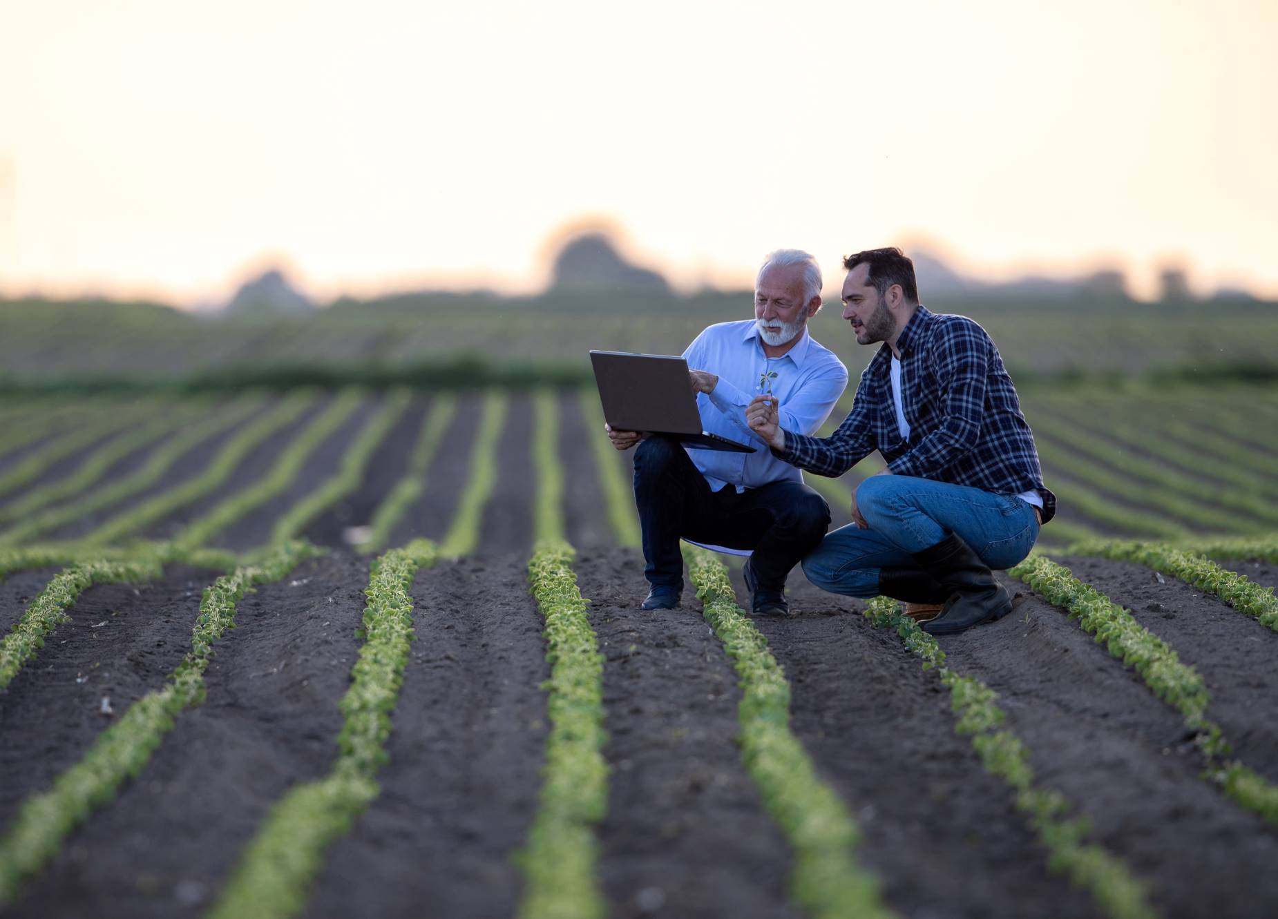  Farm Credit Watch: Has rural America been set up for another farmland bust? 