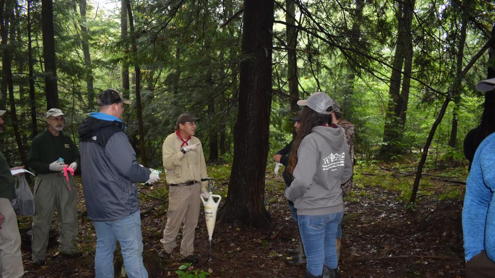   
																Penn State DuBois students get hands-on experience protecting PA state tree 
															 